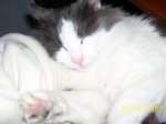 100_3984.jpg