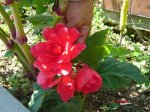 DSC00965.jpg