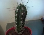 DSC00001.jpg
