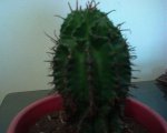 DSC00002.jpg