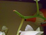 Imagen014.jpg