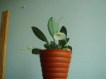 Imagen 018.jpg