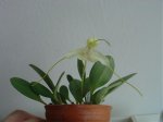 Imagen 044.jpg