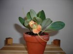 Fotos últimas 006.jpg
