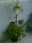 varios 097.jpg