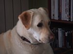 DSC00023.JPG