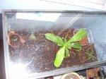 terrari (1).jpg