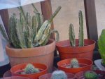 Dsc04907.jpg