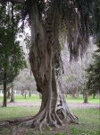Copia de Imagen 019.jpg