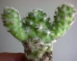 Foto 6.jpg