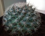 Foto 8.jpg