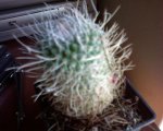 DSC00015.jpg