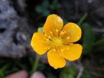 DSCF2696a.JPG