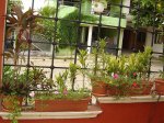 DSC01977.jpg
