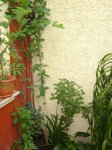 DSC01918.JPG