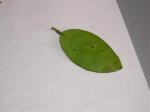 imagenes de casa 015.jpg