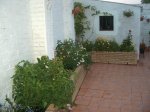 patio.jpg