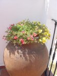 DSC04188.jpg