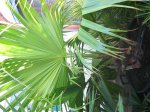 Imagen 009.jpg