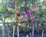 19-09-07_0732.jpg