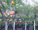 19-09-07_0733.jpg