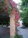6oct07 004.jpg