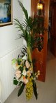 DSC00151reduida.jpg