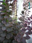 6oct07 012.jpg