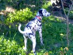 12012007126.jpg