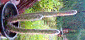 CACTUS5.gif