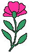 florrosa.gif