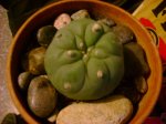 DSC03236.JPG