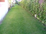 LATERAL-2.JPG