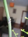 149_4938.JPG