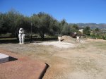IMG_1304ap.JPG