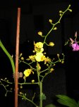 149_4913.jpg