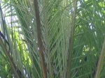 DSC00619.JPG