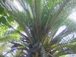 DSC00620.JPG