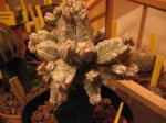 Imagen 055.jpg