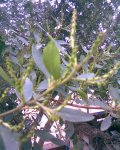 Imagen012.jpg