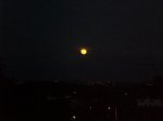 Picture 095.jpg