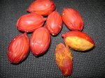 DSC02360.JPG