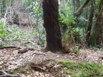 DSCF0182.jpg