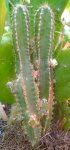 DSC03415.JPG