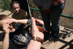IMG_4393_2.gif