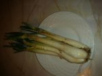 DSCN2109.jpg