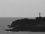 PB187639.jpg