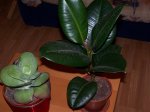 100_4259.jpg