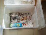 2012-01-19133302.jpg