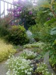 30117d1325207502-el-jardin-de-carolita-190220062216.jpg